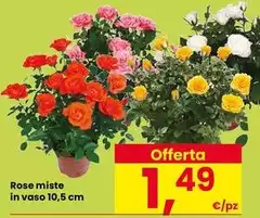 Rose Miste In Vaso