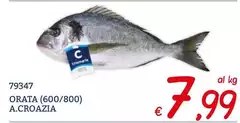 Cromaris - Orata (600/800) A.Croazia