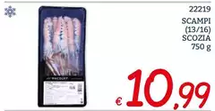 Scampi (13/16) Scozia