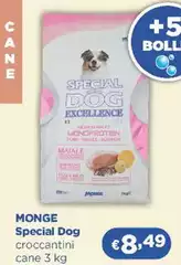 Monge - Special Dog