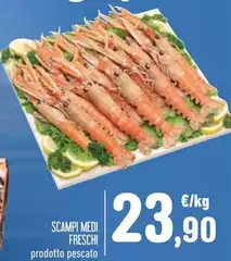 Scampi Medi Freschi