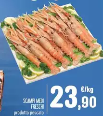 Scampi Medi Freschi