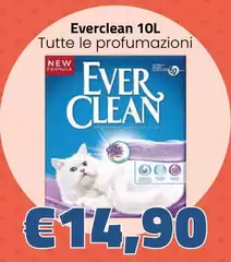 Everclean - 10L