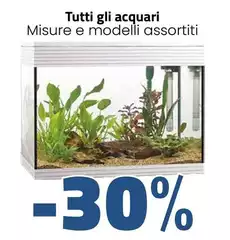 Acquari 
