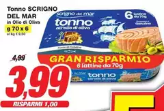 Oliva - Tonno Scrigno