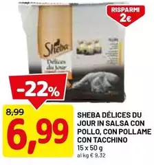 Sheba - Delices Du Jour In Salsa Con Pollo, Con Pollame Con Tacchino