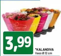 Kalandiva