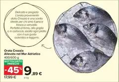 Orata Croazia Allevata Nel Mar Adriatico