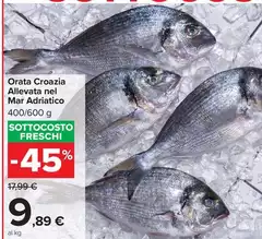 Orata Croazia Allevata Nel Mar Adriatico