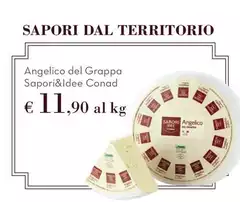 Sapori - &Idee Angelico Del Grappa