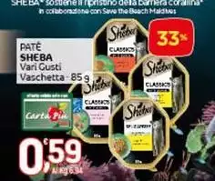 Sheba - Pate