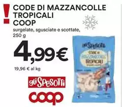 Tropical - Coop Code Di Mazzancolle i