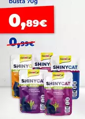 Shiny -  Cat
