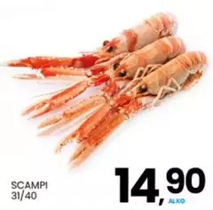 Scampi 31/40