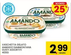 Sammontana - Vaschetta Gelato