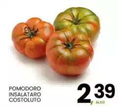 Pomodoro Insalataro Costoluto
