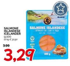 Salmone Islandese Icelander
