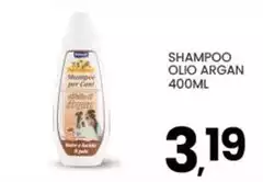 Shampoo Olio