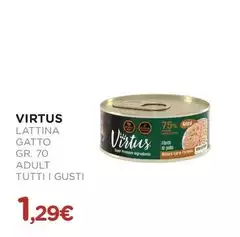 Virtus - Lattina Gatto Adult