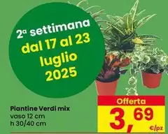 Luglio - Piantine Verdi Mix