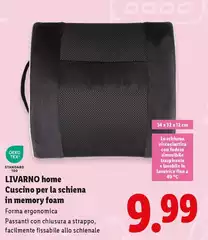 Forma - Home Cuscino Per La Schiena In Memory Foam