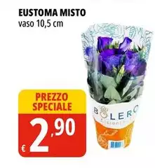 Misto