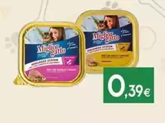Morando - Miglior Gatto