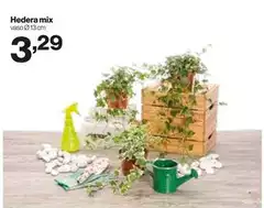 Hedera Mix