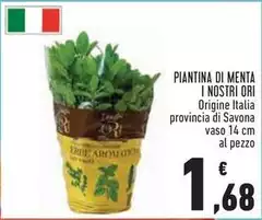 I Nostri Ori - Piantina Di Menta