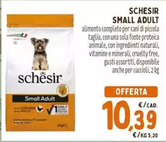 Schesir - Small Adult