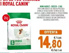 Royal Canin - Mini Adult