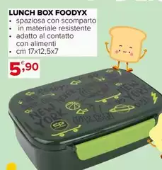 York - Lunch Box Foodyx