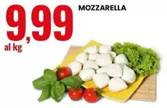 Mozzarella