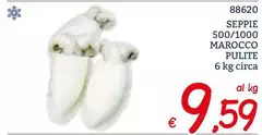 Seppie 500/1000 Marocco Pulite