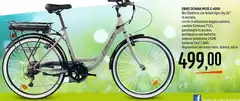 Shimano - Ernes De Sonna