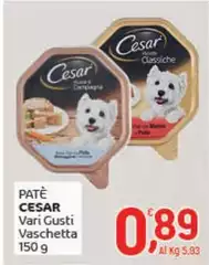 Cesar - Pate