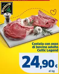 Costata Con Osso Di Bovino Adulto Celtic Legend