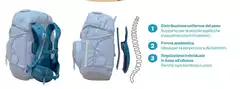 Forma - Distribuzione Uniforme Del Peso