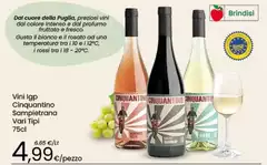 Intenso - Vini IGP Cinaquinto