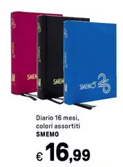 Diario 16 Mesi, Colori Assortiti