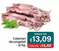 Calamari Decongelati