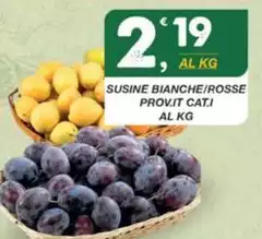Susine Bianche/rosse Provit Cat/