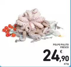 Polpo Pulito Fresco
