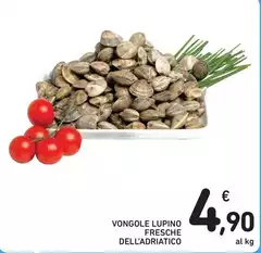 Vongole Lupino Fresche Dell'Adriatico
