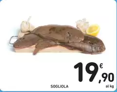 Sogliola