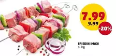 Spiedini Maxi