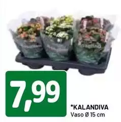 Kalandiva