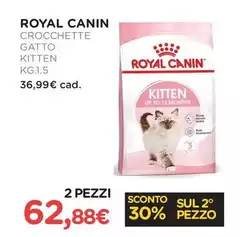 Royal Canin - Crocchette Gatto Kitten
