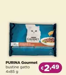 Purina - Gourmet