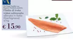Filetto Di Trota Iridea Salmonata Allevata In Italia